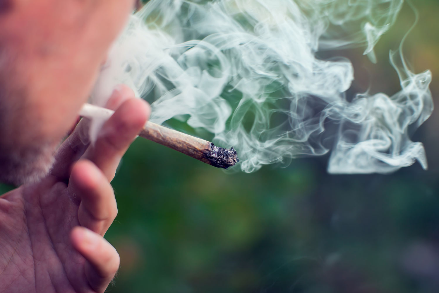 Can CBD Get You High?
