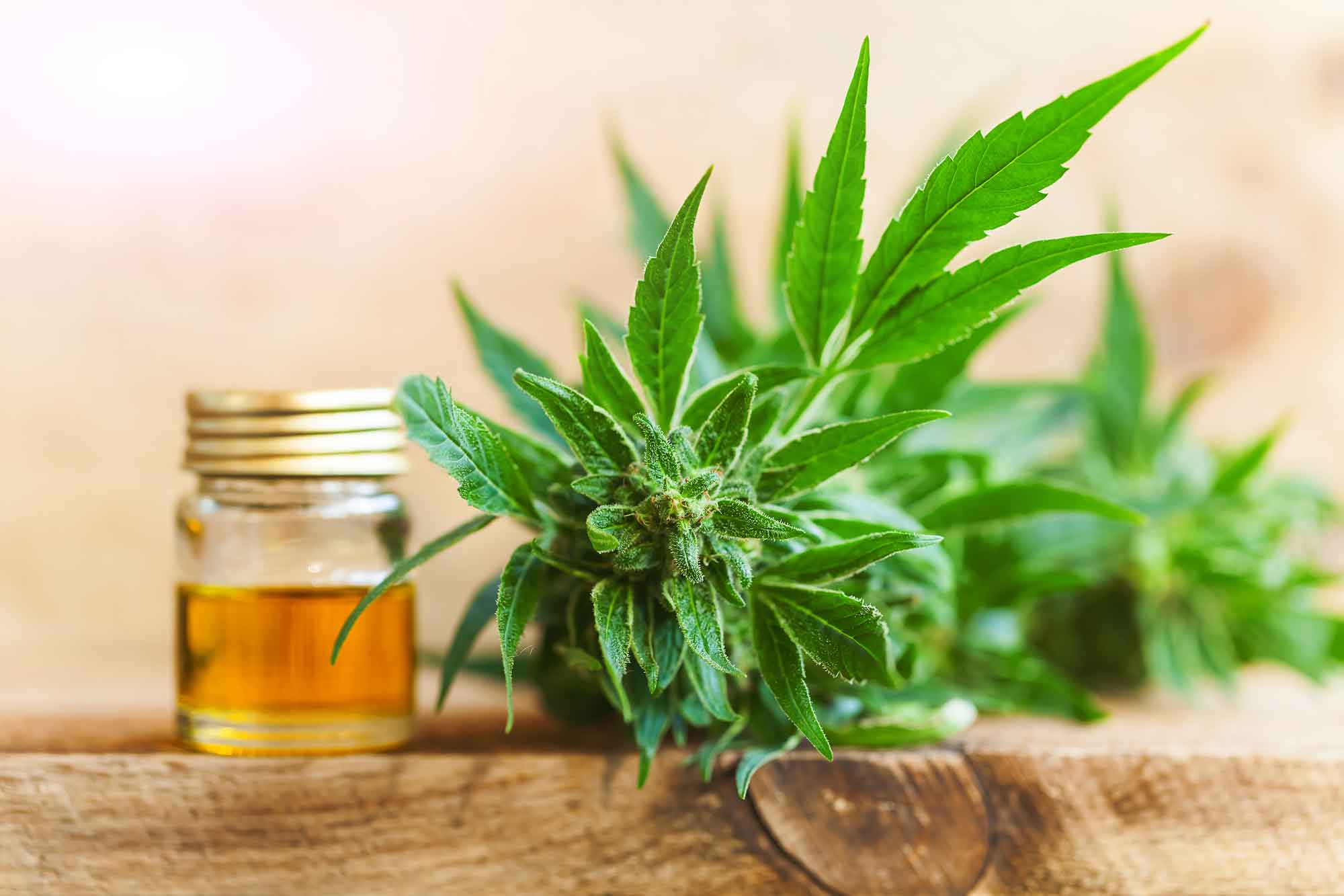 Frequently Asked Questions with Dr. Swathi - FAQ #9: Why Use Broad Spectrum Hemp Extract?