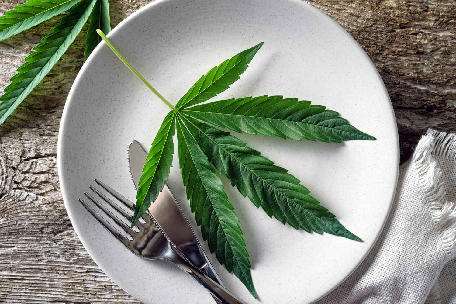 Culinary Cannabis