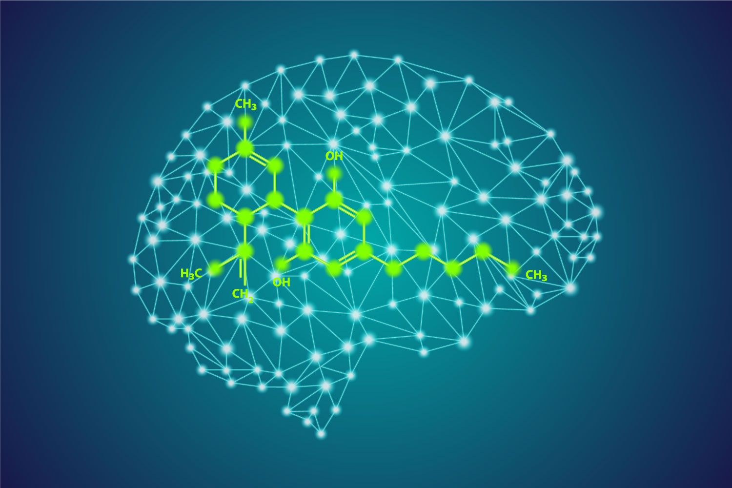 The Endocannabinoid System 101