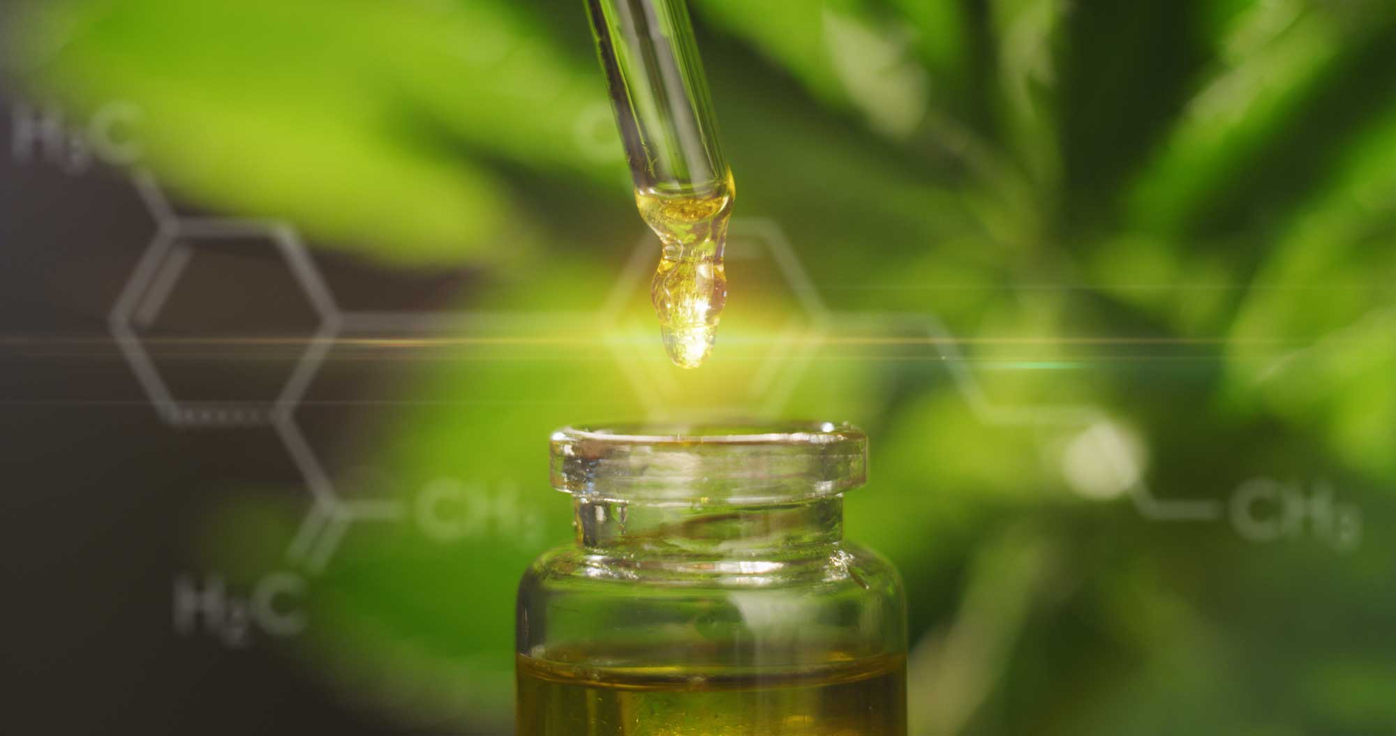 What's the Difference? | CBD Isolate, Broad-Spectrum, & Full-Spectrum