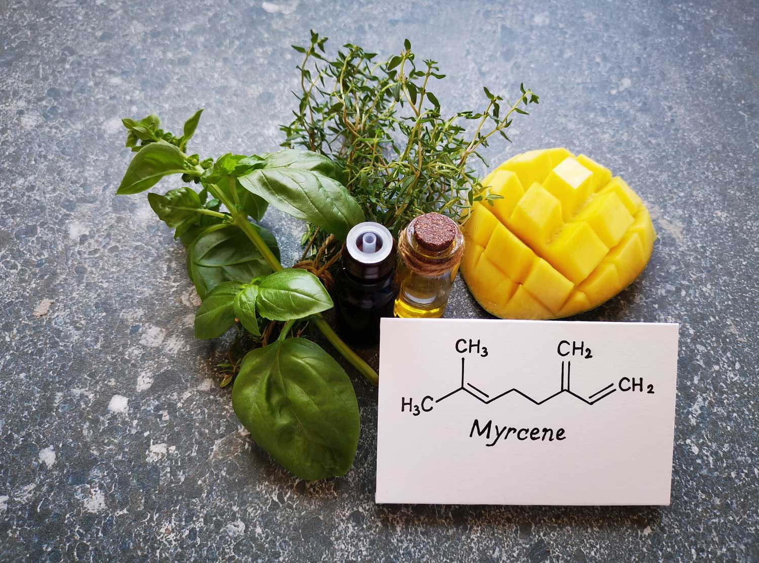 Terpenes 101 | Myrcene