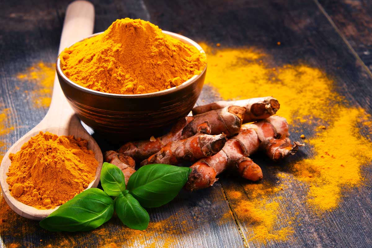 Green Entrepreneur | How Turmeric Benefits the Endocannabinoid System