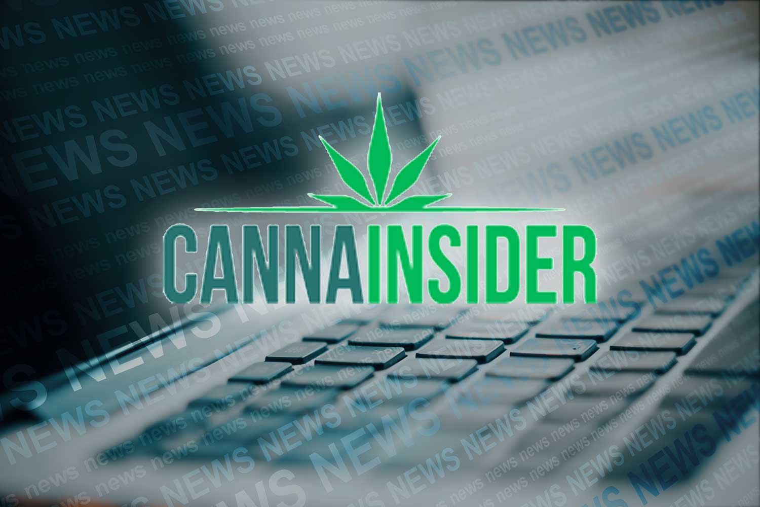 CannaInsider: Launching a Cannabis Brand with Equity Crowdfunding - Davina Kaonohi